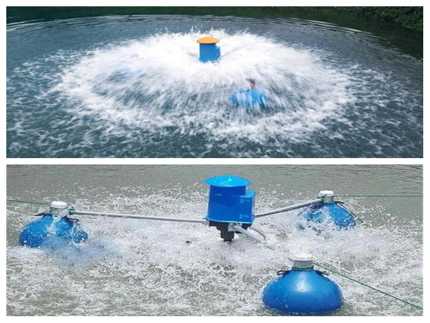 底部增氧系统布置图