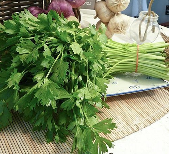 山芹与山竹对比图