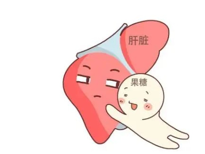 果糖在人体内的代谢路径示意图,突出肝脏代谢过程 果糖代谢示意图