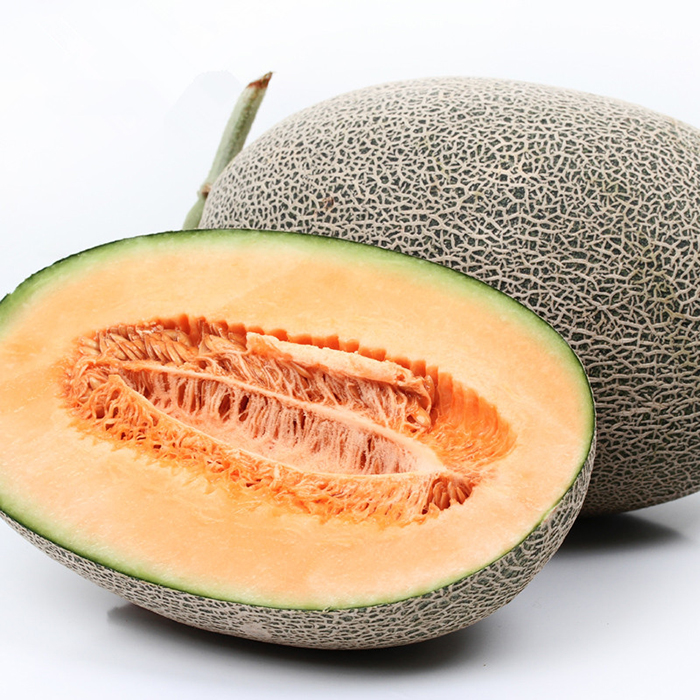 哈密瓜切片特写