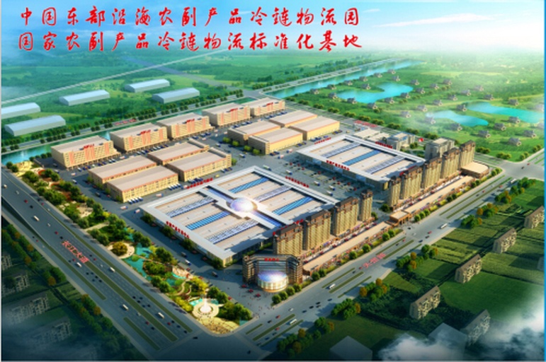 山东黄心白菜冷链物流运输图