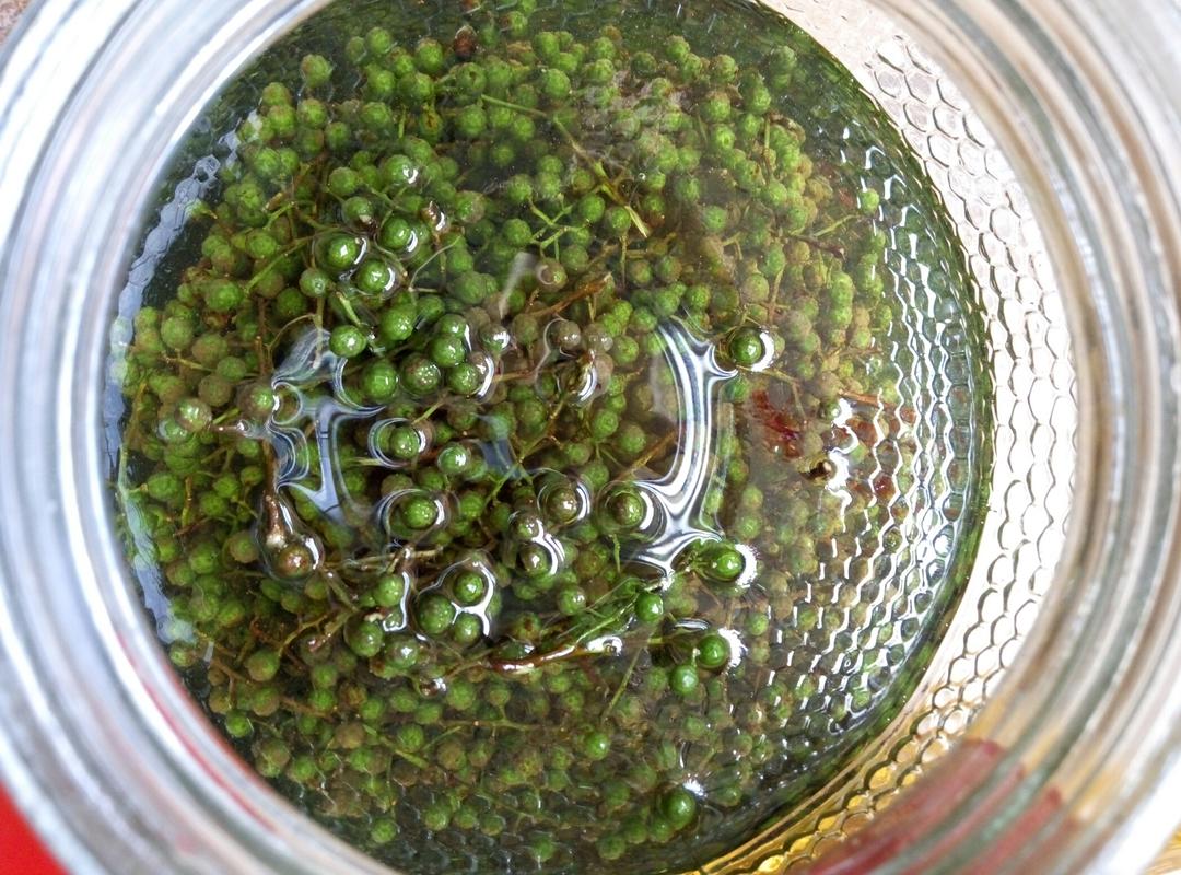 展示指天椒泡制过程中的玻璃罐和泡汁配料 指天椒泡制过程