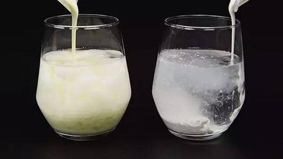 实验室级对比拍摄:双杯平行实验,使用相同水量、水温与计时器;背景为标尺刻度板,便于观察膨胀率;水面俯视角+45°斜视角双构图,全面呈现复水效果差异 干海带复水过程对比图:左图为优质干海带泡发15分钟后状态(叶片舒展饱满、水质清亮微黄、无沉淀);右图为劣质干海带泡发后状态(叶片僵硬卷曲、水体浑浊发黑、底部沉积大量泥沙与碎屑)