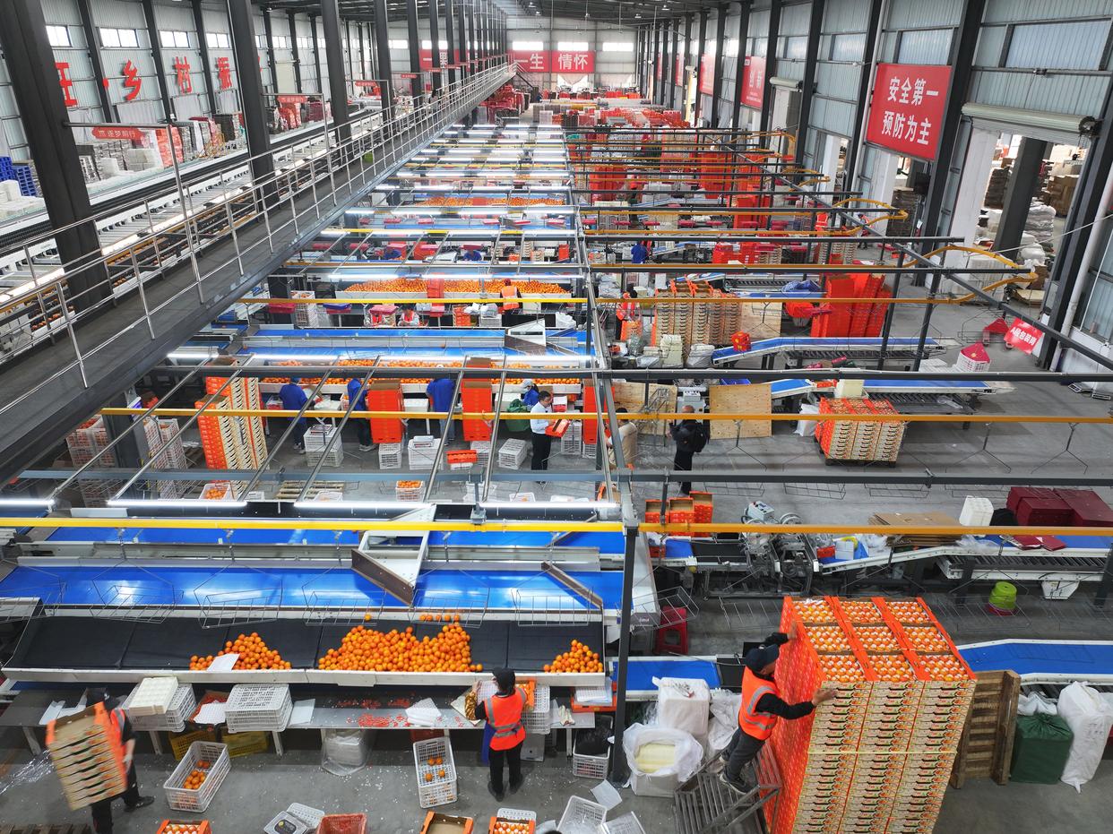 一座现代化柑桔加工厂全景图,包含自动化清洗线、玻璃幕墙控制室、大型不锈钢储罐群和绿色园区环境,厂门口有‘智慧农业·柑桔深加工产业园’标识牌 柑桔现代化加工厂外景