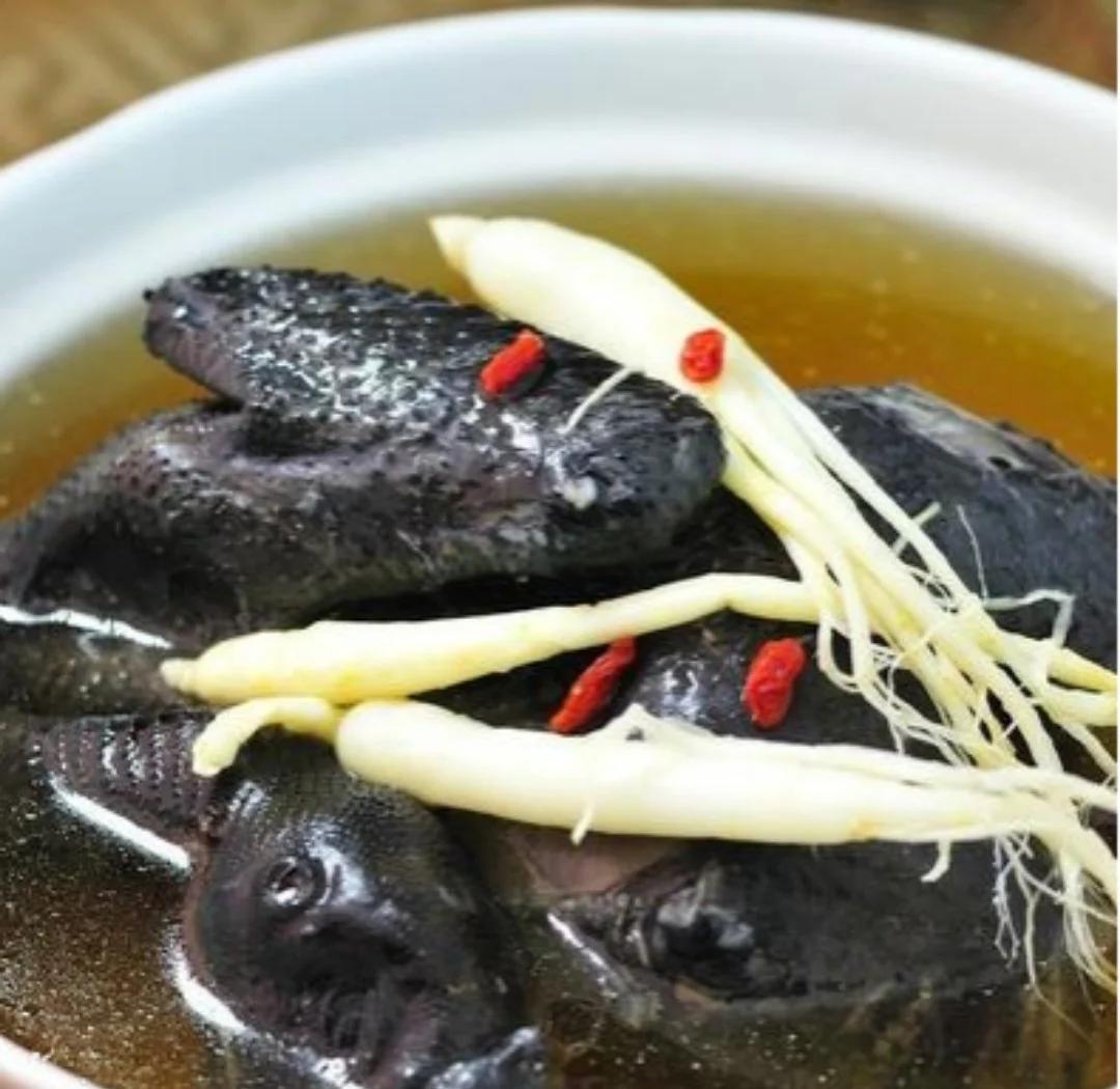 北沙参炖鸡汤成品图