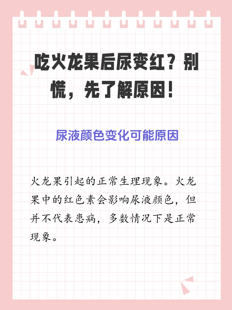 实验室场景：玻璃烧杯中盛放红心火龙果榨汁（紫红色）、清水（透明）、稀释尿液样本（淡粉色）三组对比液体，pH试纸显示各溶液酸碱度，标注“甜菜红素排泄验证实验”