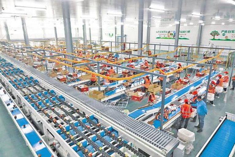 现代化百香果加工车间内景,工人正在操作自动分拣机和冷压榨汁设备,传送带上满载新鲜百香果,背景有‘NFC果汁’‘冻干粉’等产品标识,体现工业化加工流程 百香果加工厂生产线场景