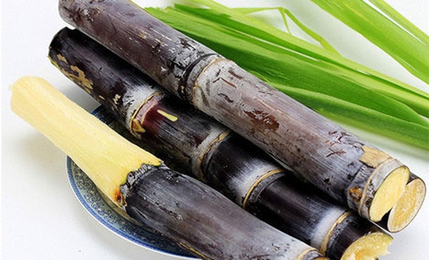 红甘蔗特写