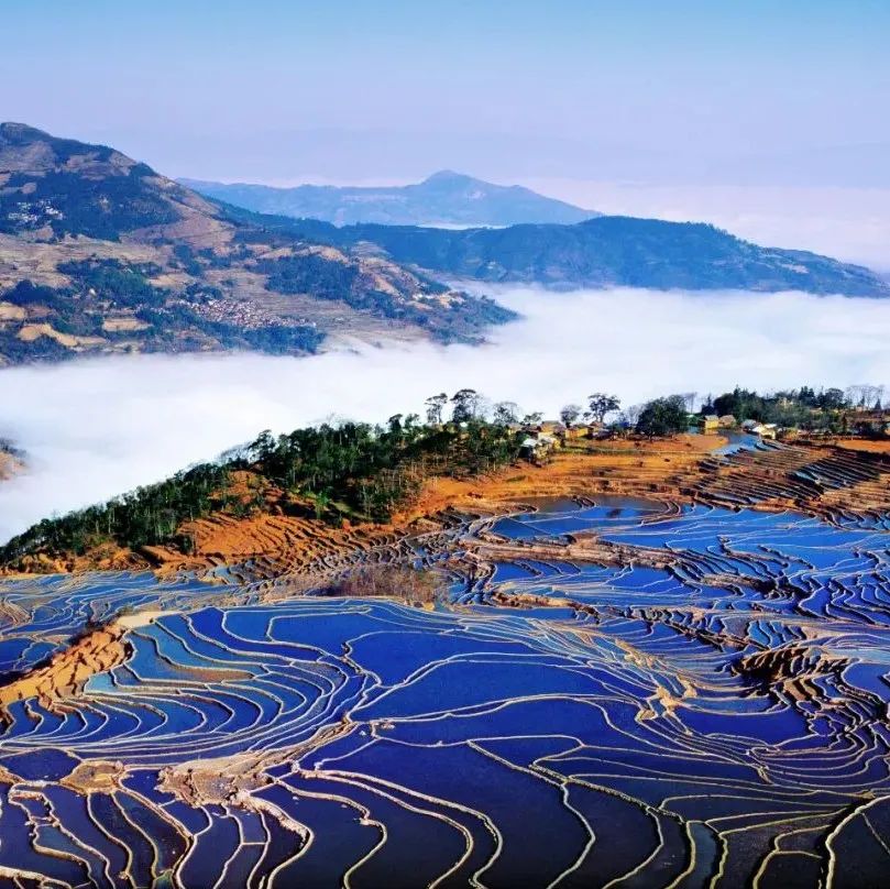 四川省凉山州雷波县高山梯田果园全景,阳光充足,云雾缭绕,果园依山而建,土壤呈红褐色,周围植被茂密,体现高原立体气候特征 雷波县高山果园航拍图