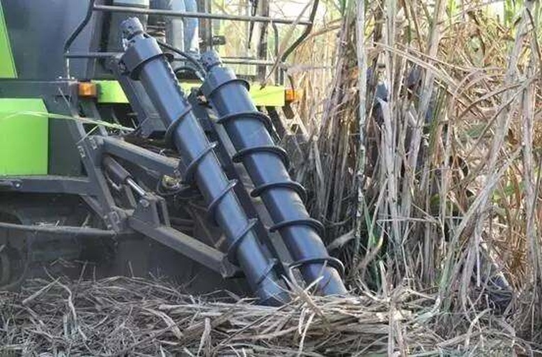 漳州甘蔗机械化收割现场
