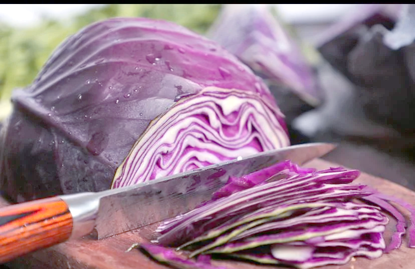 一位主妇在厨房操作台上用刀切开一个新鲜的绿色圆白菜(绿甘蓝),切面显示清晰的层叠结构,旁边放有砧板、调料瓶和围裙,展现日常烹饪情境 家庭厨房中正在切圆白菜的场景