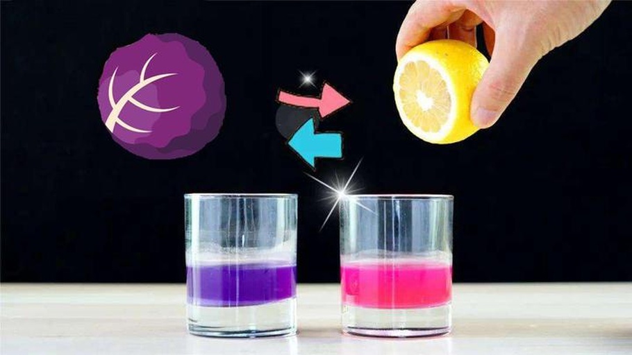 两个透明玻璃杯并列摆放，左侧杯子中液体为深紫色（紫甘蓝原汁），右侧杯子中液体为粉红色（加入白醋后的反应液）