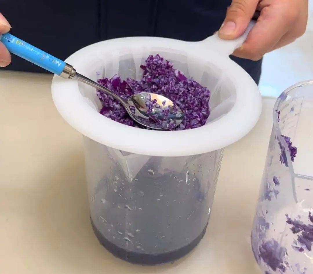 科研人员在实验室使用高效液相色谱仪(HPLC)测定甘蓝中维生素C含量,旁边摆放着来自不同产地的样品瓶,标签注明采样地点与品种,实验台上还有电子天平、离心机等设备 中甘甘蓝在实验室进行品质检测