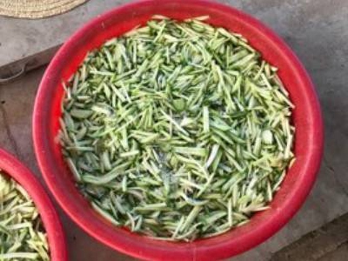 一名年轻女性在明亮现代的厨房里处理青芒果,她戴着围裙,正用刀将绿色的青芒果切成细条状,透明玻璃碗中已盛放切好的芒果条,周围散落着小碟装的辣椒粉、白色食盐和黄色话梅粉,背景可见瓷砖墙面和不锈钢水槽 一位女性正在厨房中削切青芒果,案板上有切好的青芒果条,旁边摆放着辣椒粉、食盐和话梅粉等调味料