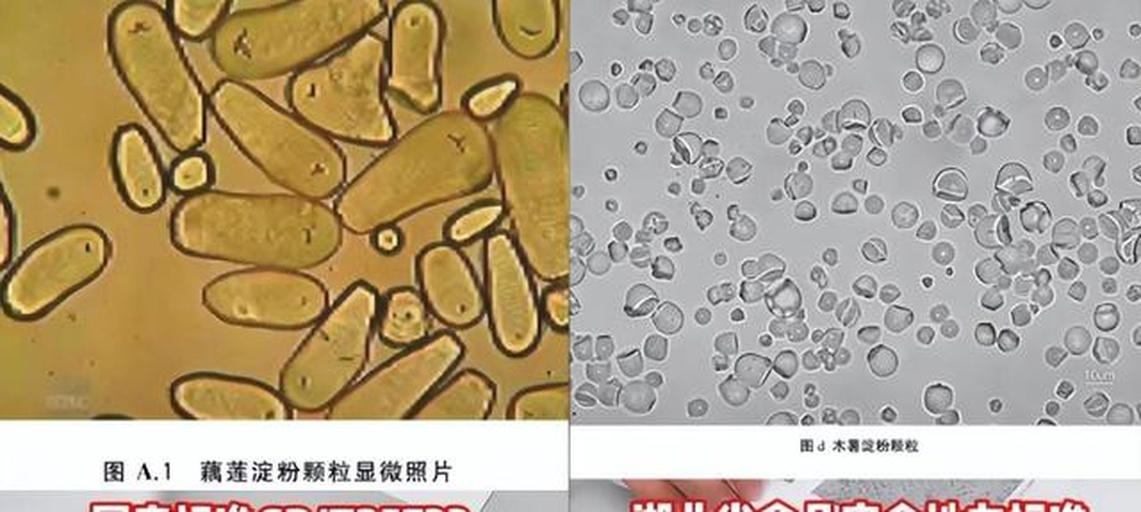 味精颗粒显微放大图