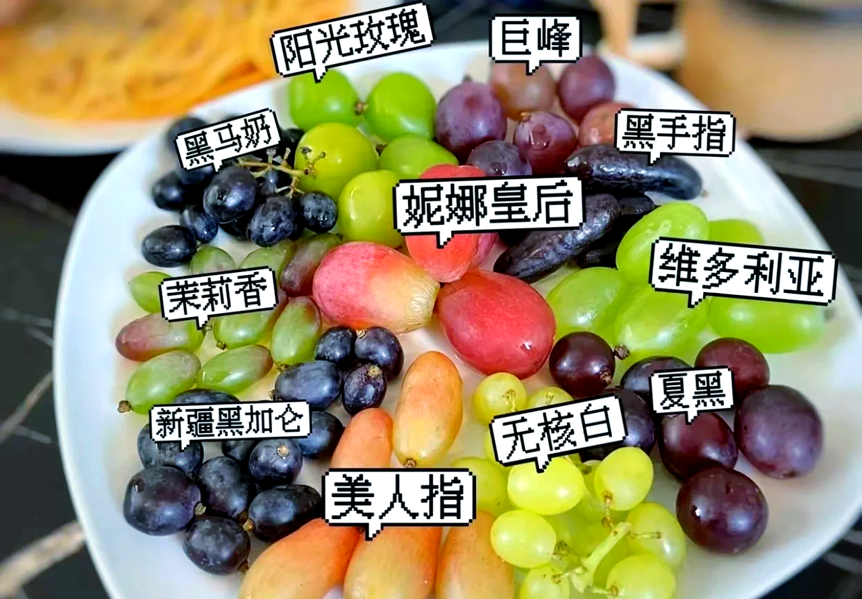 一张展示多种葡萄品种的拼图,包括维多利亚葡萄(淡金色)、夏黑(深紫色)、阳光玫瑰(青绿色)和红提(亮红色),每串葡萄清晰标注名称,背景为白色桌面 多种葡萄品种对比图