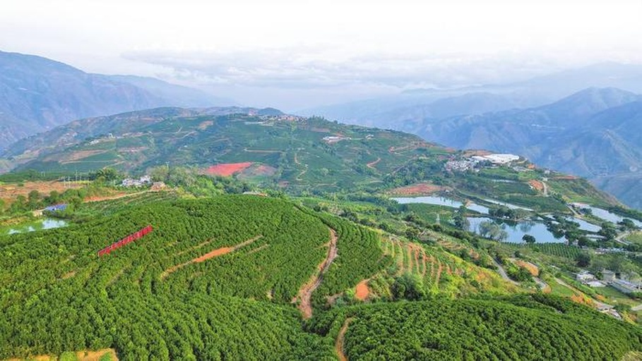 德保县地貌与生态环境,展示山地丘陵地形与森林植被 德保县地貌与生态环境