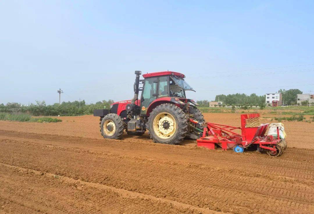 夏季毛豆机械化播种现场
