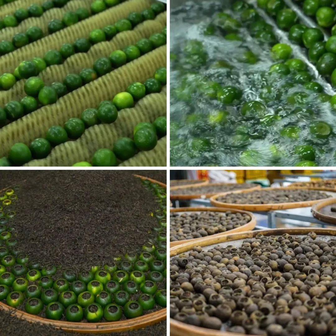 小青柑冲泡过程中的不同阶段