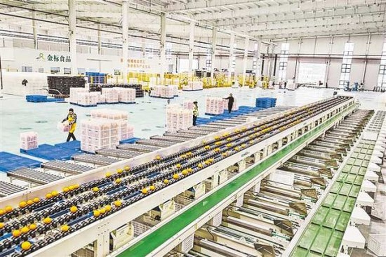 一名农业技术人员正在使用手持式糖度计检测刚榨出的冰糖橙汁液,桌上摆放多个编号样品杯,背景为现代化水果分拣车间,传送带上的橙子正在进行光电分级 冰糖橙糖度检测操作图