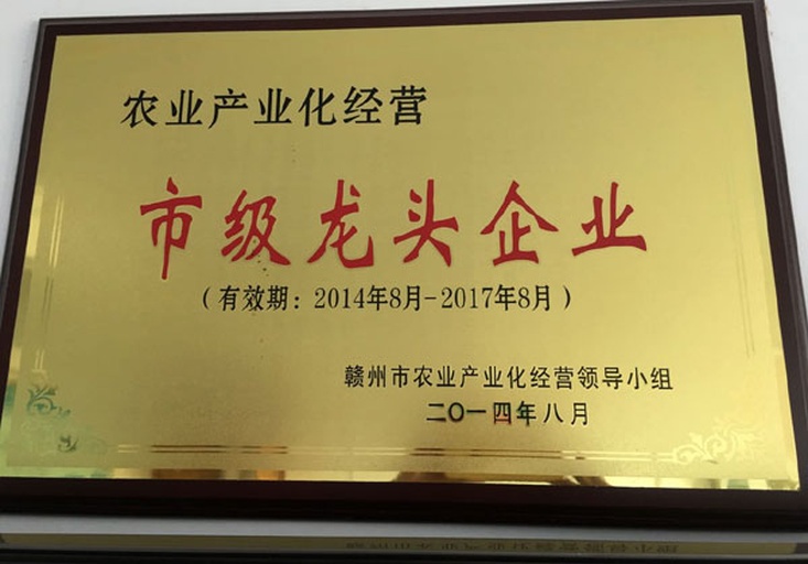 浅蓝色亚克力立式公示牌,左侧印有'山东省农产品加工示范企业'铜质徽章,右侧张贴'SC230108001234'食品生产许可证原件及'2024年度中央财政农产品产地初加工补助项目'红头文件扫描件,下方可见'沂南县农业农村局监制'钢印 金太阳杏加工厂获得的政府补贴公示牌与SC食品生产许可证特写