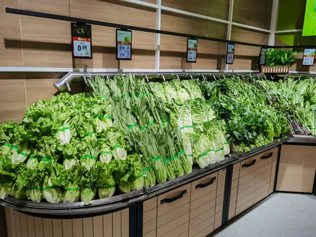 超市生鲜区的蔬菜货架,整齐摆放着绿色圆白菜(绿甘蓝)、紫色紫甘蓝和迷你型抱子甘蓝,标价牌清晰标注‘绿甘蓝’‘圆白菜’等名称,体现市场分类 超市货架上的甘蓝类蔬菜陈列