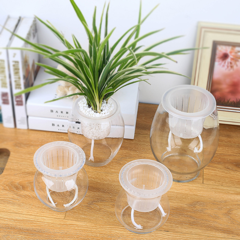 红叶石楠水培系统结构示意图