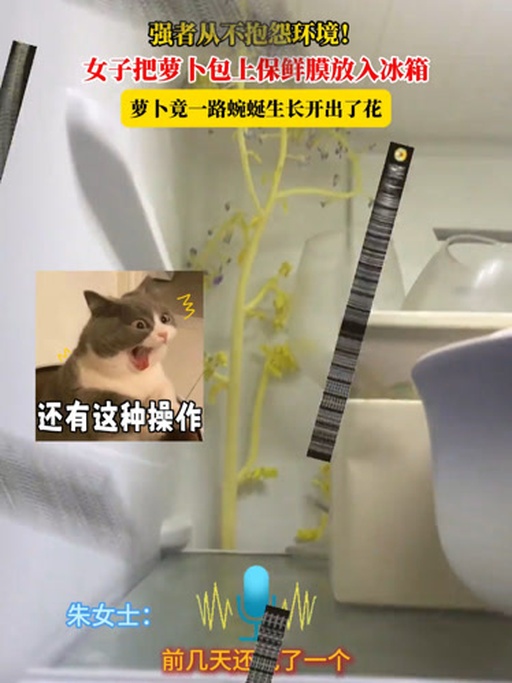 家庭厨房中萝卜的正确储存方式