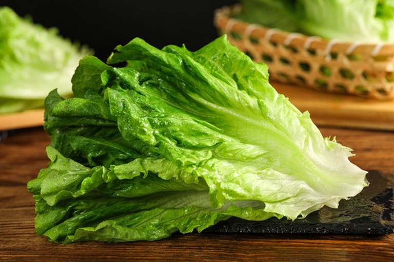 生菜与生蚝食材对比图