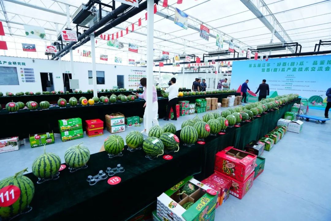 夏邑西瓜文化节活动现场照片
