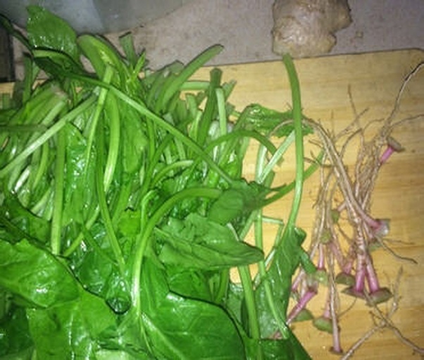 菠菜与折耳根食材对比图