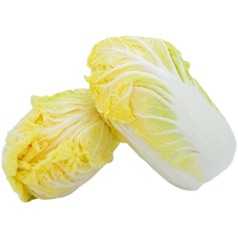 一颗新鲜的大白菜,外层绿叶包裹紧实,内层叶片洁白脆嫩,表面有细微水珠,背景为田园菜地或市场摊位,突出其作为常见农产品的新鲜状态 白菜特写