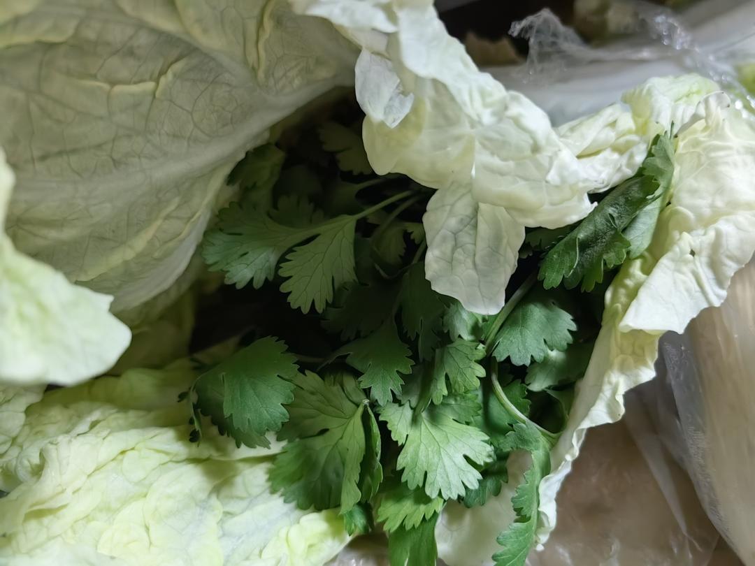 十香菜混合菜品展示