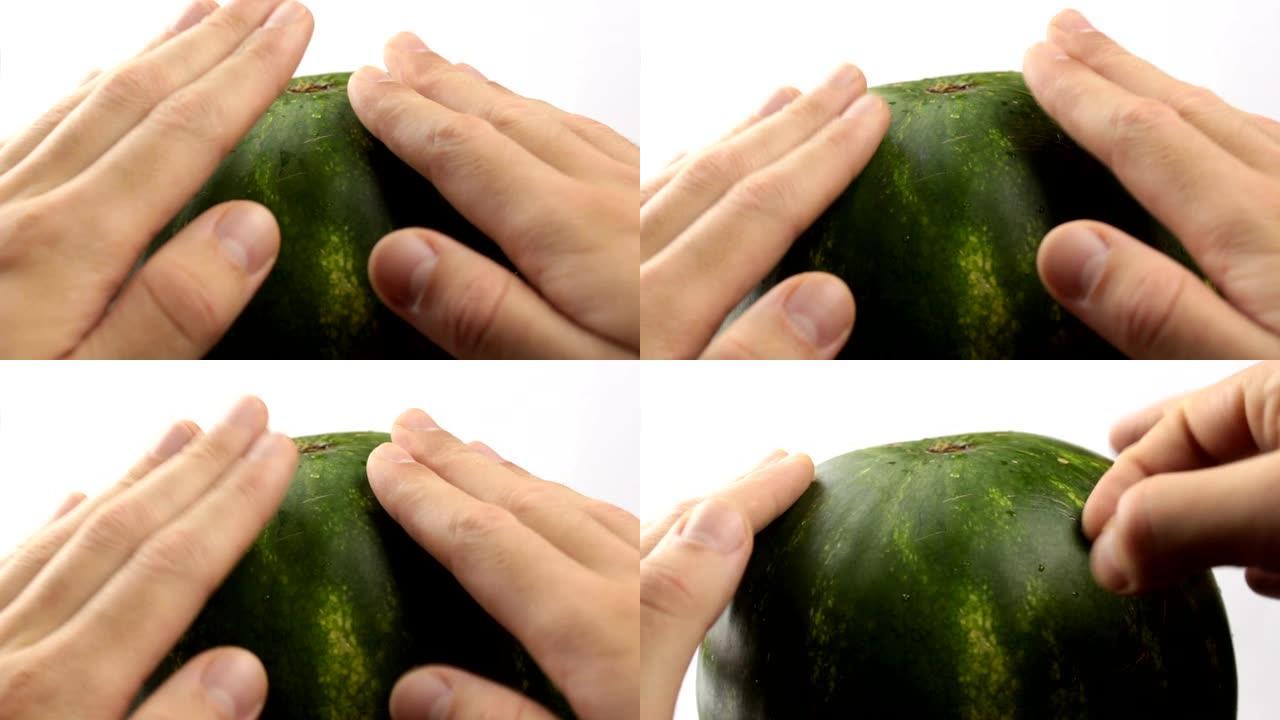 挑选京欣西瓜的五个技巧示意图