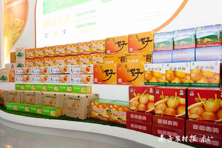 展示柑桔果脯、果汁、精油等深加工产品,摆放在展台上 柑桔深加工产品展示