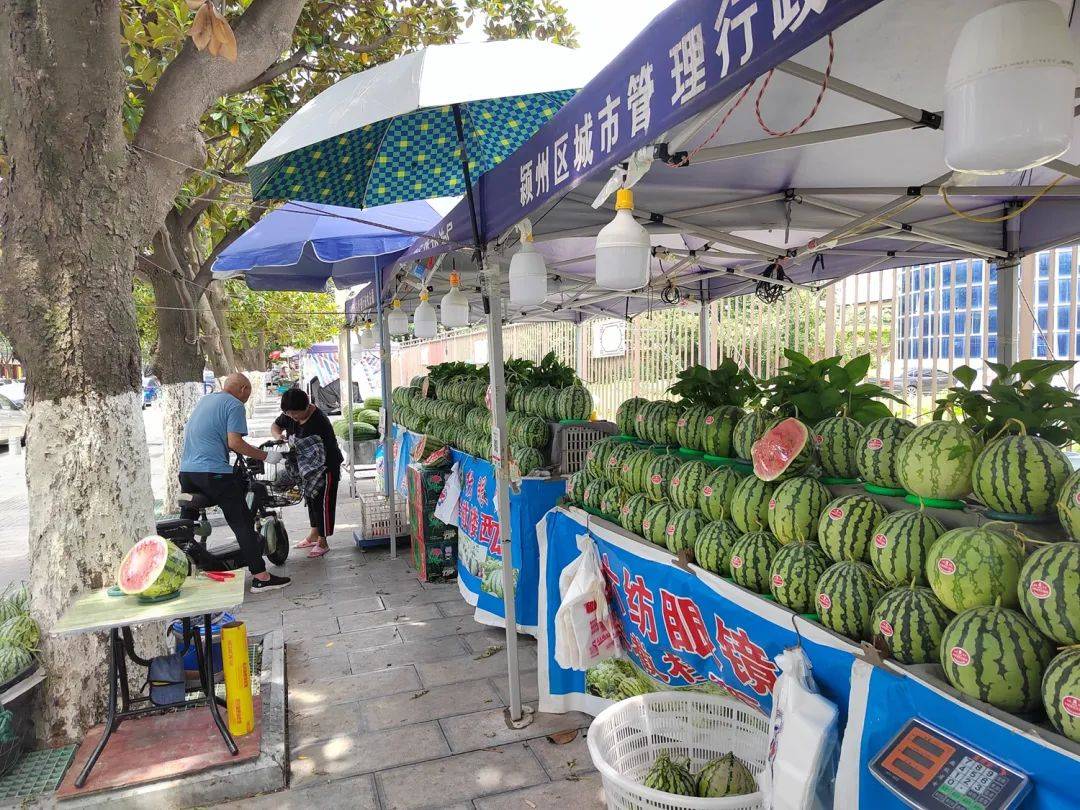 一位消费者正在水果摊前用手指轻拍西瓜进行试听,周围摆放着多个不同大小和纹路的西瓜,背景有摊主和其他顾客,体现真实生活化的选瓜场景 市场挑选西瓜场景图