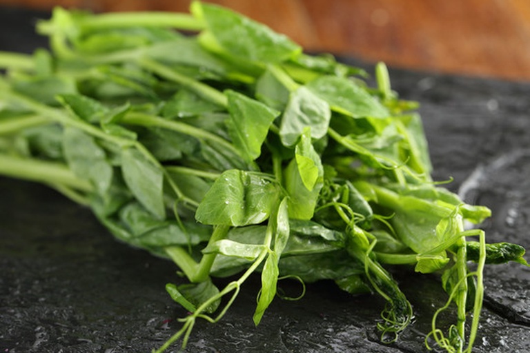 豌豆颠新鲜采摘特写