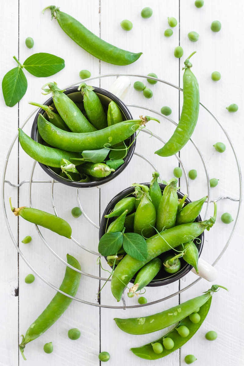 青豌豆与白豌豆对比图