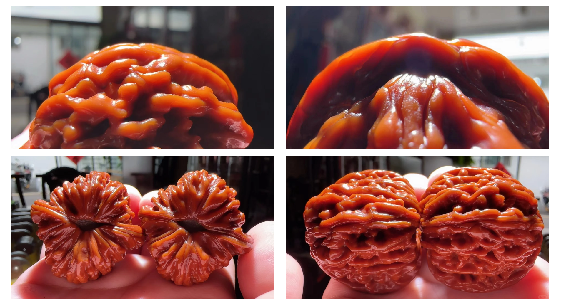 一对已经盘红的麻核桃特写