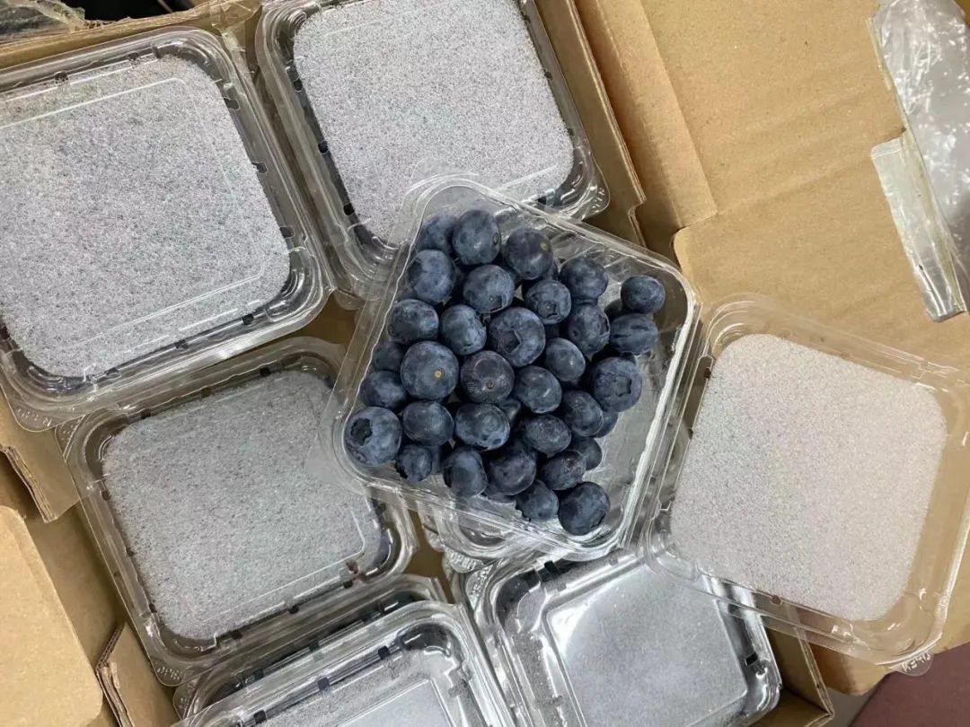 超市生鲜区货架上摆放着多个品牌的蓝莓塑料盒装产品,标签清晰可见产地信息,部分盒子带有透明盖板,展示内部深蓝色果实,背景为冷光源照明的冷藏柜环境 超市货架上的蓝莓包装盒特写