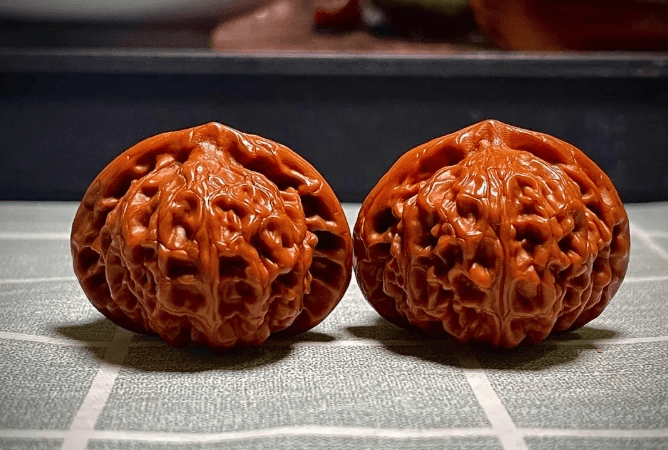 两颗完全包浆的文玩核桃并列放置在一个深色胡桃木地板制成的托盘上,表面泛着柔和的玻璃光泽,纹路清晰且颜色统一为红褐色,周围散落着一把小型猪鬃刷和一块棉布 一对已包浆的精品文玩核桃静置于木质托盘上