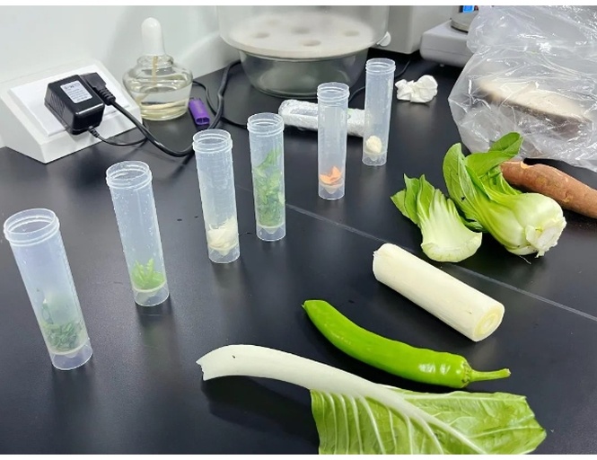 一名身穿白色实验服的技术人员在农业科研实验室中使用近红外光谱仪检测油菜秸秆样品的蛋白质和纤维含量,桌上摆放多个编号试管和记录本,体现科学检测过程 实验室技术人员正在检测油菜秸秆营养成分