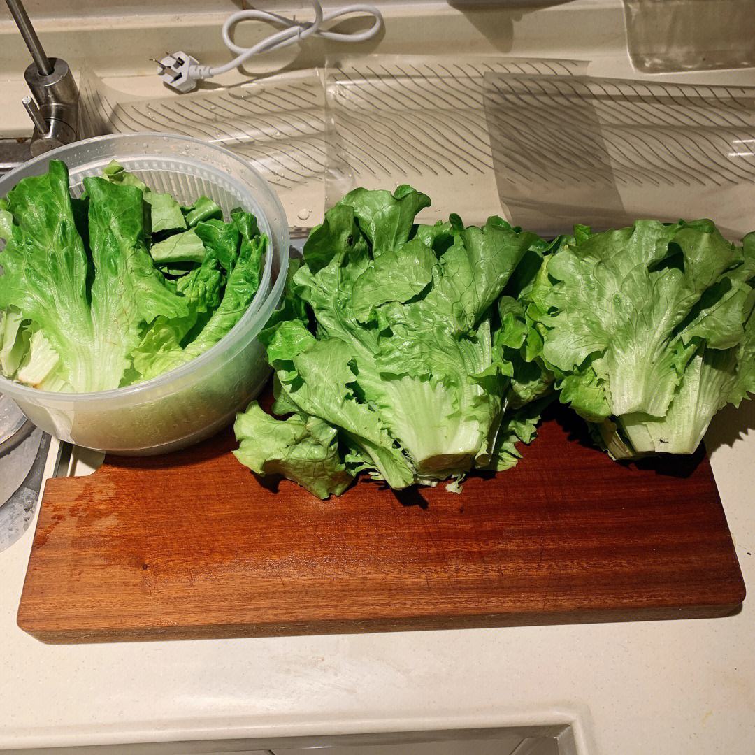 一名厨师佩戴手套,在厨房工作台上将洗净的生菜叶放入透明真空袋,连接手持式真空封口机,设备显示正在抽气,背景有未处理的生菜堆和标签笔 真空封装生菜操作过程
