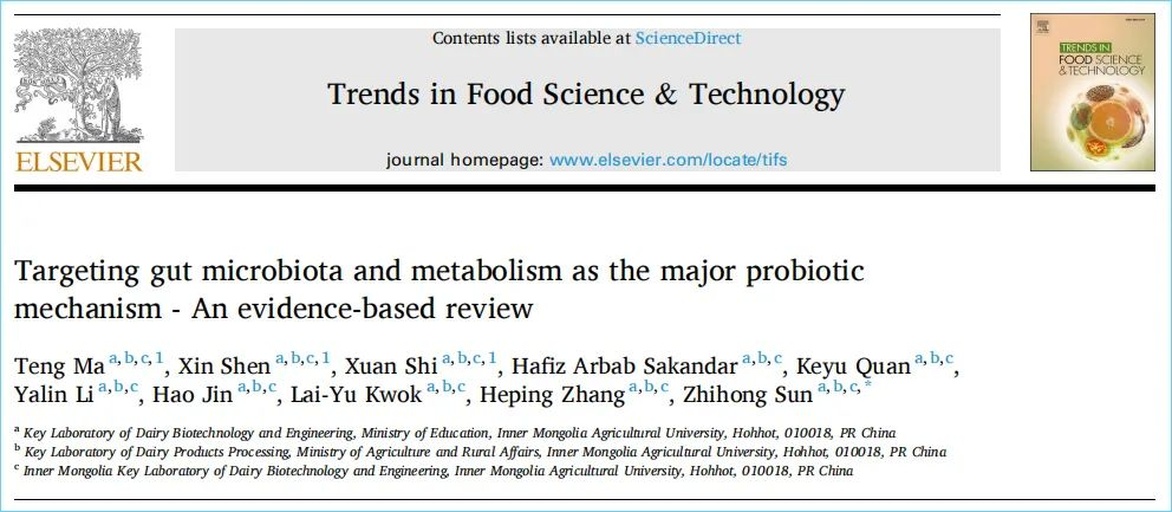 番子姜果胶与肠道菌群互作机制可视化:强调低分子量果胶对益生菌的靶向增殖作用 番子姜切片与肠道菌群示意图融合图:左侧为半透明显微结构图显示番子姜果胶分子链,右侧为荧光标记的肠道菌群生态图(绿色为拟杆菌,蓝色为普雷沃氏菌,红色为粪杆菌)