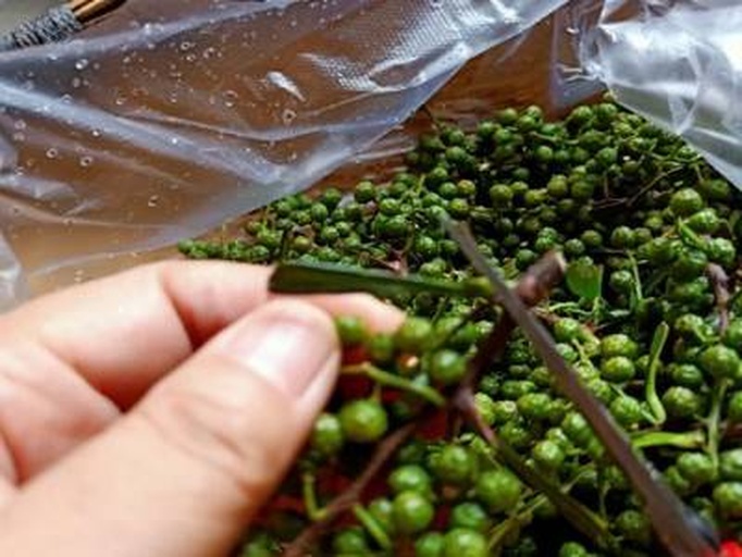 俯视角生活场景图:展现红椒从整果到预处理的‘新鲜流转’过程,强调清洗后水珠晶莹、切条整齐饱满、竹筛透气自然,便签强化时间敏感性 俯拍场景:厨房流理台上,左侧为刚清洗沥干的整颗红椒堆叠,右侧为同批红椒切成长条状铺于竹筛上,背景虚化处可见冰箱门及手写“今晨采摘”便签