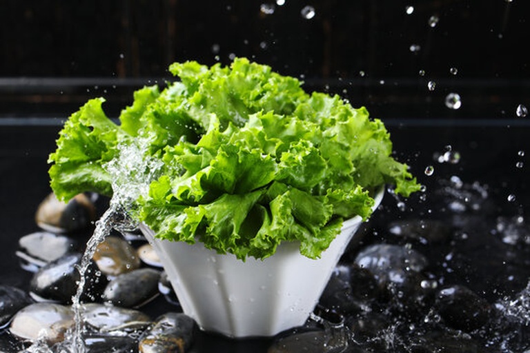 厨房实景图：手部特写正在清洗一株完整结球生菜，水流清澈，叶片饱满水润，不锈钢水槽边缘放置玻璃碗盛放洗净生菜，背景木质台面摆有无添加橄榄油瓶与粗盐罐