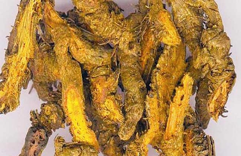 黄连切片与药材展示