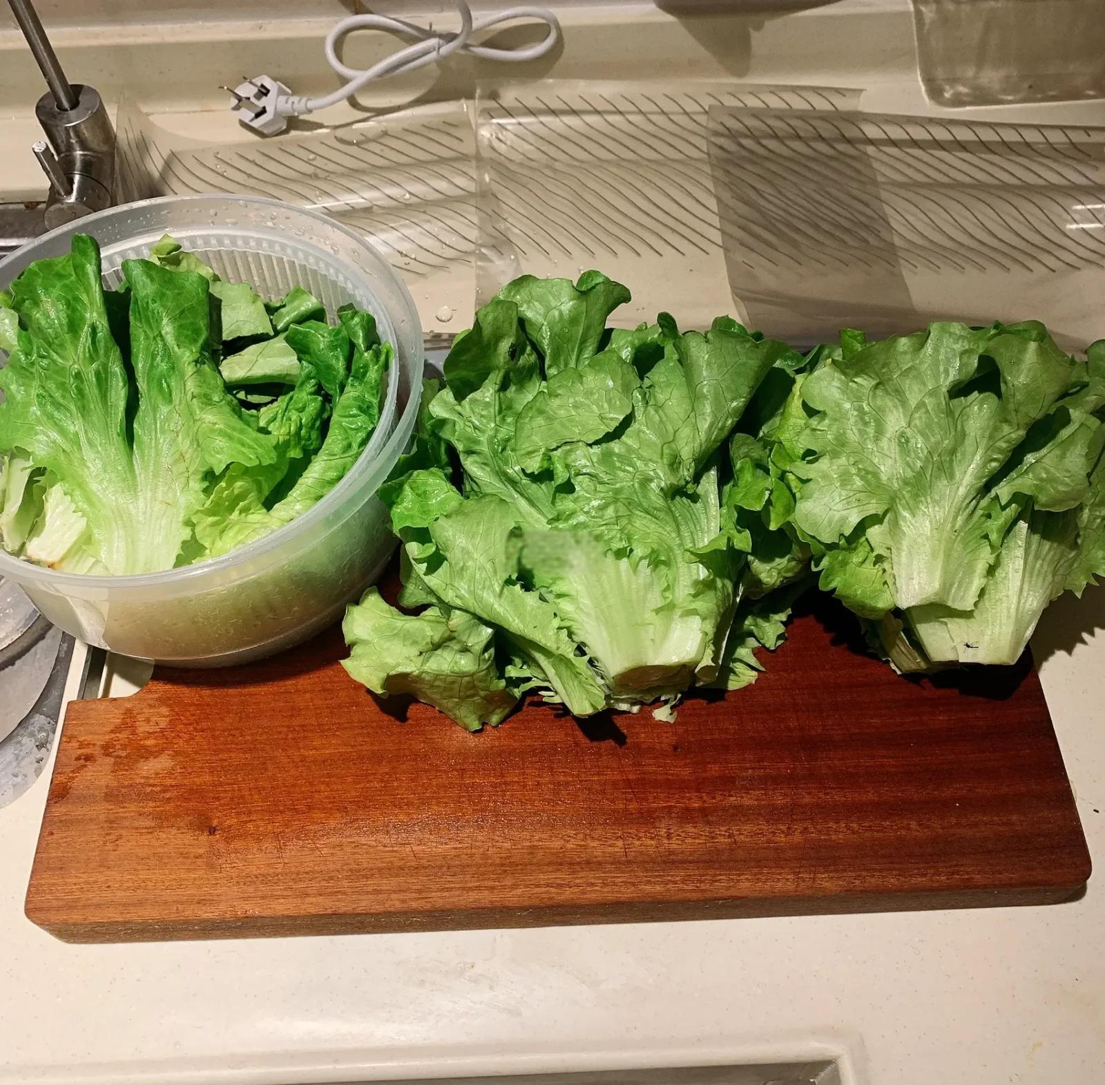 家庭厨房中的生菜处理过程