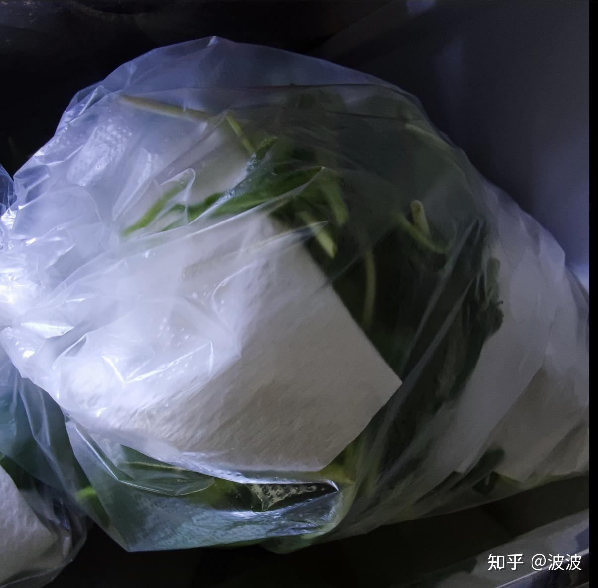 展示用保鲜袋和厨房纸包裹蔬菜的步骤示意图 生菜与苦菊保鲜方法示意图