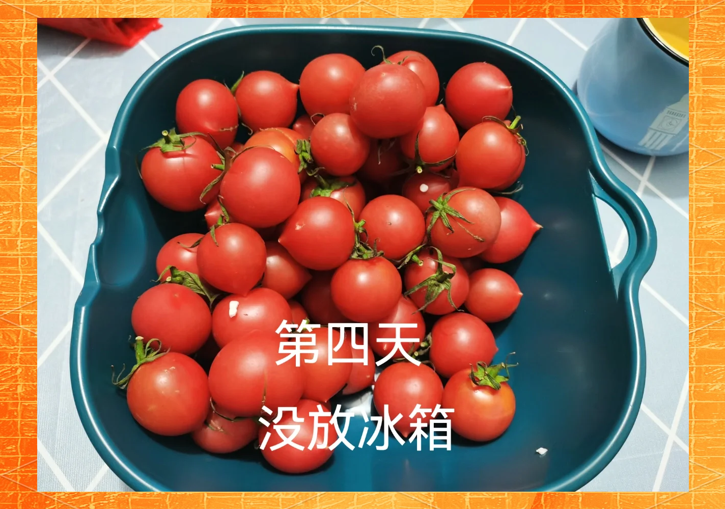 对比图:新鲜番茄炒蛋(左)与冷藏24小时后的同款菜肴(右),突出后者可能出现的质地变化与潜在风险提示 一碗刚出锅的金黄番茄炒蛋特写,蛋块蓬松湿润,番茄汁水丰盈,旁边配有一小碟冷藏保存的同款菜肴(边缘略干缩、色泽稍暗),形成安全食用对比